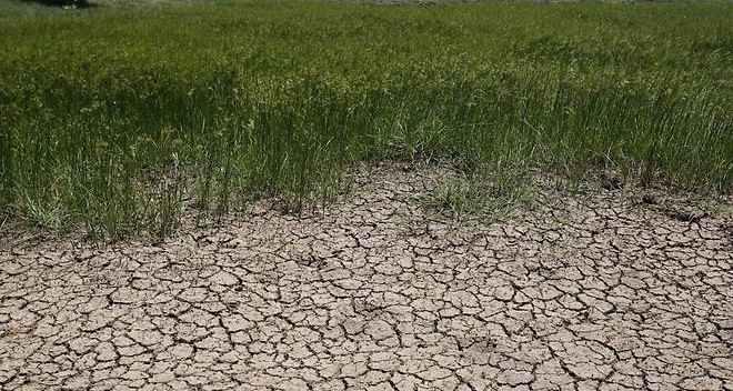 Thaïlande : la sécheresse pourrait coûter 0,8 % du PIB national ảnh 1 Thaïlande : la sécheresse pourrait coûter 0,8 % du PIB national ảnh 1