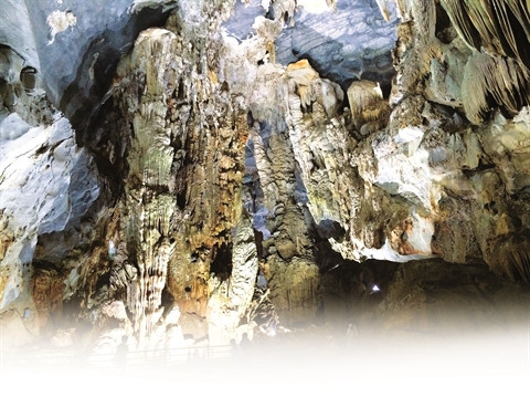 Phong Nha-Ke Bàng, au royaume des grottes ảnh 2 Phong Nha-Ke Bàng, au royaume des grottes ảnh 2