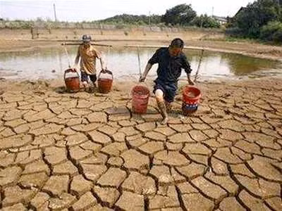 Le delta du Mékong cherche à s’adapter à la salinisation et à la sécheresse ảnh 2