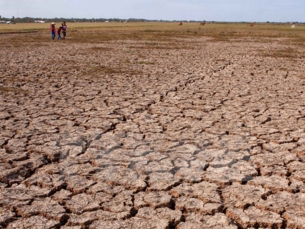 Delta du Mékong : connectivité régionale dans la réponse au changement climatique ảnh 1 Delta du Mékong : connectivité régionale dans la réponse au changement climatique ảnh 1