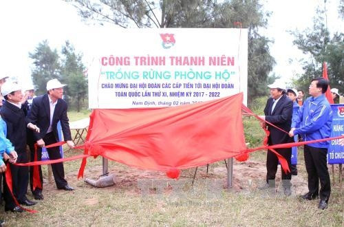 Le vice-PM Truong Hoa Binh à la Fête de la plantation d'arbres 2017 ảnh 1