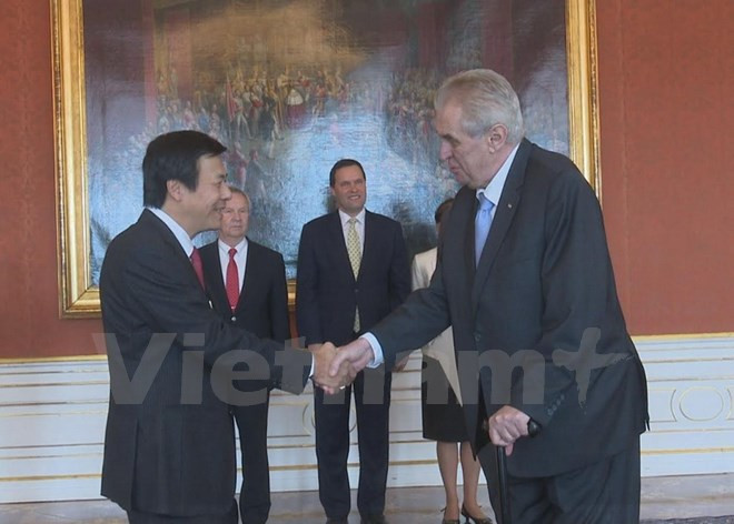 L'ambassadeur du Vietnam en R. tchèque présente ses lettres de créance ảnh 1 L'ambassadeur du Vietnam en R. tchèque présente ses lettres de créance ảnh 1