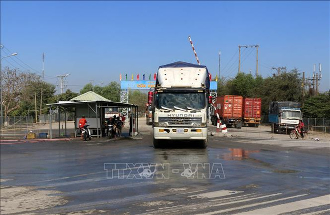 Renforcement de la lutte contre le transport illégal de volailles vers le Vietnam ảnh 1 Renforcement de la lutte contre le transport illégal de volailles vers le Vietnam ảnh 1