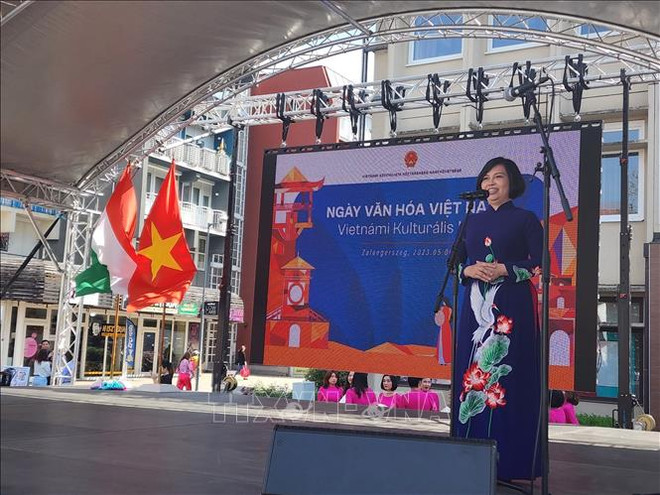 La Journée de la culture vietnamienne a lieu en Hongrie ảnh 1 La Journée de la culture vietnamienne a lieu en Hongrie ảnh 1