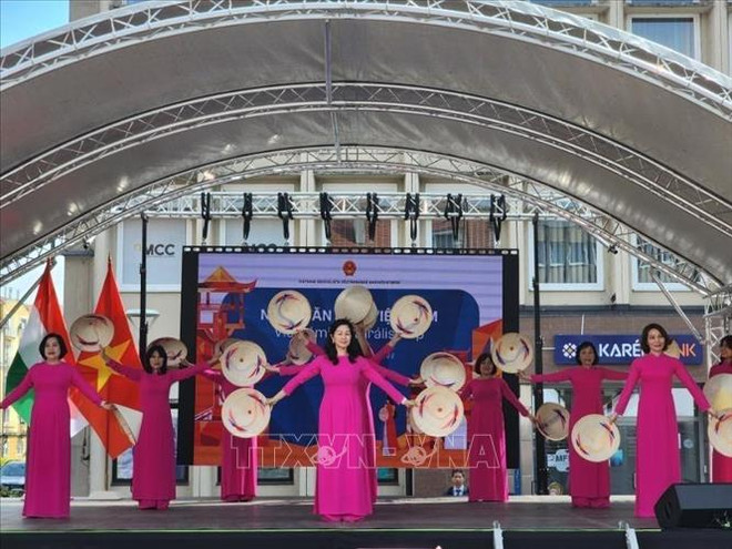 La Journée de la culture vietnamienne a lieu en Hongrie ảnh 3 La Journée de la culture vietnamienne a lieu en Hongrie ảnh 3