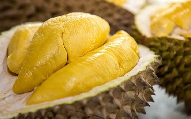 Le durian vietnamien Ri6 débarque dans les rayons des supermarchés britanniques ảnh 1 Le durian vietnamien Ri6 débarque dans les rayons des supermarchés britanniques ảnh 1