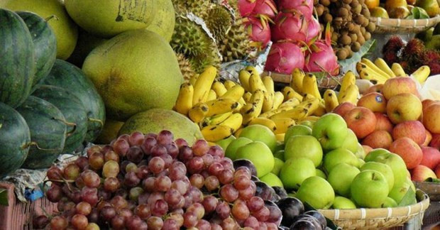 Le Laos promeut sa production agricole et ses exportations en 2023 ảnh 1 Le Laos promeut sa production agricole et ses exportations en 2023 ảnh 1