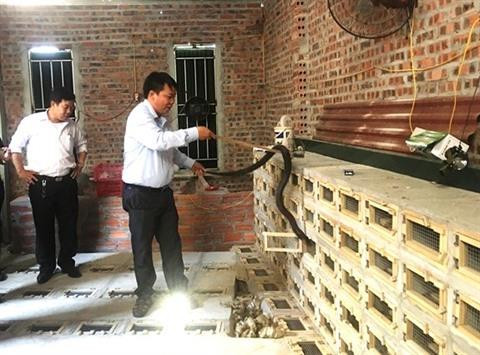 Vinh Phuc : à la découverte du village des serpents de Vinh Son ảnh 2 Vinh Phuc : à la découverte du village des serpents de Vinh Son ảnh 2