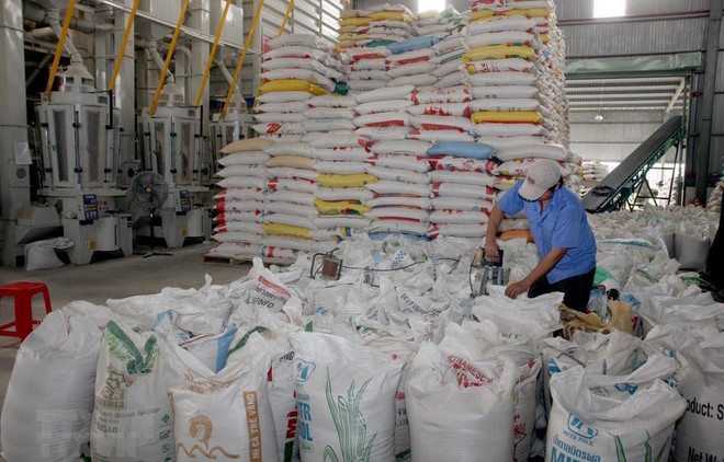 Des défis pour les exportations nationales de riz ảnh 1 Des défis pour les exportations nationales de riz ảnh 1