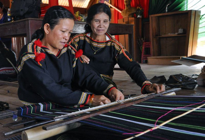 Dak Nông : Bientôt la 1ère Fête de la brocatelle du Vietnam ảnh 1 Dak Nông : Bientôt la 1ère Fête de la brocatelle du Vietnam ảnh 1