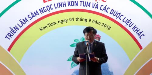 Exposition du ginseng de Ngoc Linh et d’autres plantes médicinales ảnh 1 Exposition du ginseng de Ngoc Linh et d’autres plantes médicinales ảnh 1