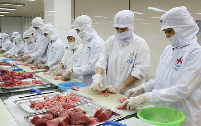 Hausse spectaculaire des exportations nationales de thon en Espagne ảnh 1 Hausse spectaculaire des exportations nationales de thon en Espagne ảnh 1