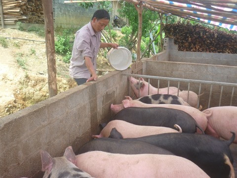 Le cycle vertueux d'un projet d’assistance ảnh 1 Le cycle vertueux d'un projet d’assistance ảnh 1