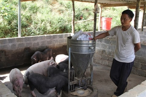 Le cycle vertueux d'un projet d’assistance ảnh 2 Le cycle vertueux d'un projet d’assistance ảnh 2