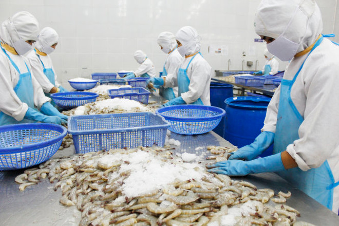 Les Etats-Unis, 1er importateur de produits aquatiques du Vietnam ảnh 1 Les Etats-Unis, 1er importateur de produits aquatiques du Vietnam ảnh 1