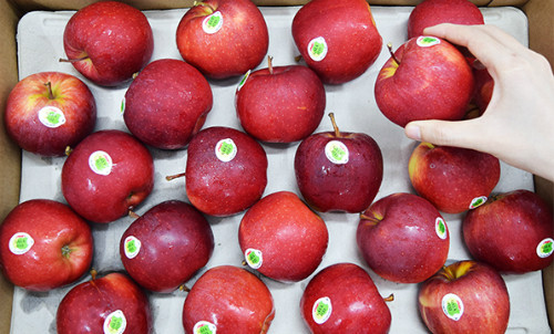 Les Vietnamiens friands de pommes françaises ảnh 1 Les Vietnamiens friands de pommes françaises ảnh 1