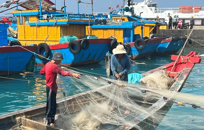 Binh Thuân déterminée à ne laisser aucun navire de pêche violer les eaux étrangères ảnh 1