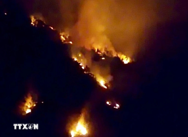 Le PM ordonne de renforcer la prévention et le contrôle des incendies de forêt ảnh 2 Le PM ordonne de renforcer la prévention et le contrôle des incendies de forêt ảnh 2