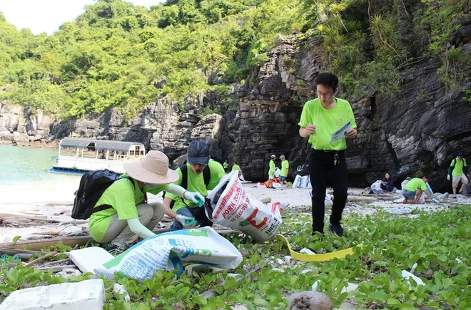 Le PNUE aide à surveiller la pollution plastique au Vietnam ảnh 1 Le PNUE aide à surveiller la pollution plastique au Vietnam ảnh 1