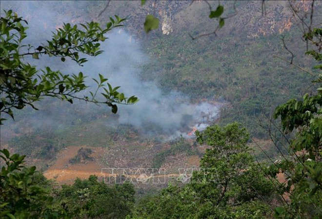 Le PM ordonne de renforcer la prévention et le contrôle des incendies de forêt ảnh 1 Le PM ordonne de renforcer la prévention et le contrôle des incendies de forêt ảnh 1