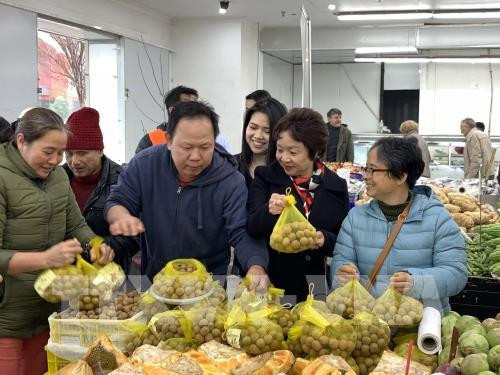 Signes positifs pour les exportations nationales de produits agricoles ảnh 1 Signes positifs pour les exportations nationales de produits agricoles ảnh 1