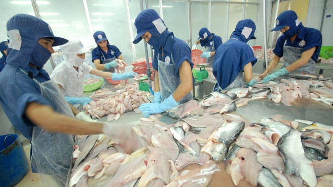Les exportations de pangasius vers l’ASEAN en hausse de 87% en 11 mois ảnh 1 Les exportations de pangasius vers l’ASEAN en hausse de 87% en 11 mois ảnh 1