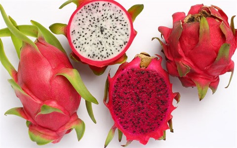 Le fruit du dragon, un filon économique à Tiên Giang ảnh 3 Le fruit du dragon, un filon économique à Tiên Giang ảnh 3