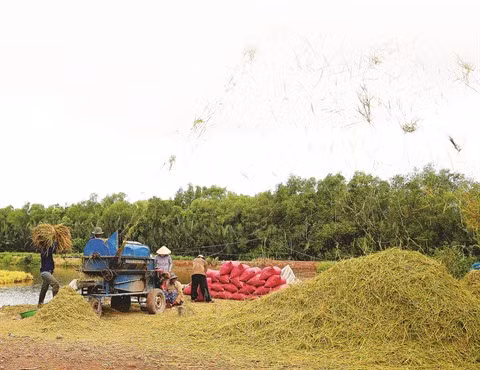 La restructuration aspire à une agriculture verte ảnh 1
