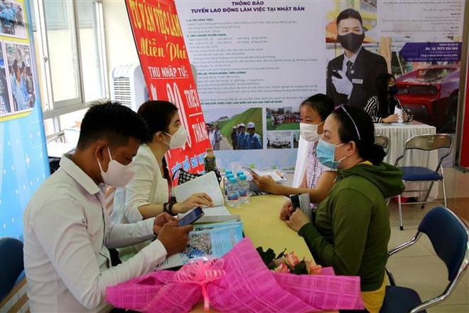 Ho Chi Minh-Ville : Un salon de l’emploi pour les travailleurs impactés par le COVID-19 ảnh 2 Ho Chi Minh-Ville : Un salon de l’emploi pour les travailleurs impactés par le COVID-19 ảnh 2