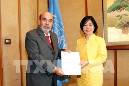 Le Vietnam reste un partenaire important de la FAO ảnh 1 Le Vietnam reste un partenaire important de la FAO ảnh 1