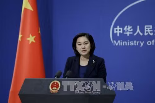 La Chine s’engage à renforcer sa coopération avec l’ASEAN ảnh 1