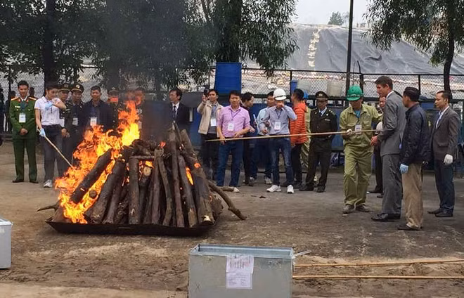 Renforcement de la lutte contre le commerce illégal d’espèces sauvages ảnh 1 Renforcement de la lutte contre le commerce illégal d’espèces sauvages ảnh 1