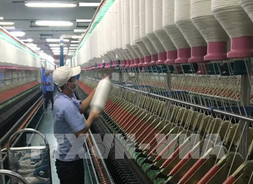 L’Australie est un marché potentiel pour le textile-habillement ảnh 1