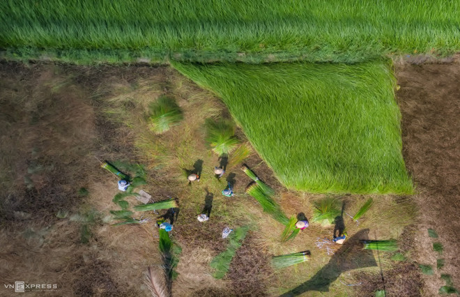 La beauté impressionnante des villages de métiers traditionnels du Vietnam ảnh 9 La beauté impressionnante des villages de métiers traditionnels du Vietnam ảnh 9