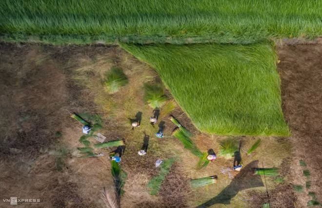La beauté impressionnante des villages de métiers traditionnels du Vietnam ảnh 9
