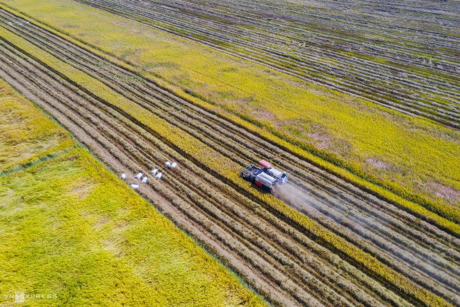 La beauté impressionnante des villages de métiers traditionnels du Vietnam ảnh 11 La beauté impressionnante des villages de métiers traditionnels du Vietnam ảnh 11