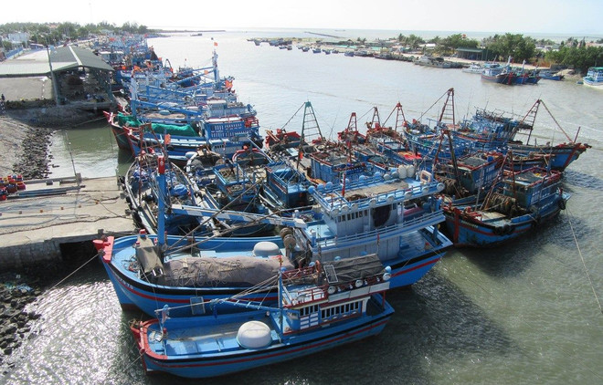 Ben Tre renforce la gestion des navires de pêche pour lutter contre la pêche INN ảnh 1
