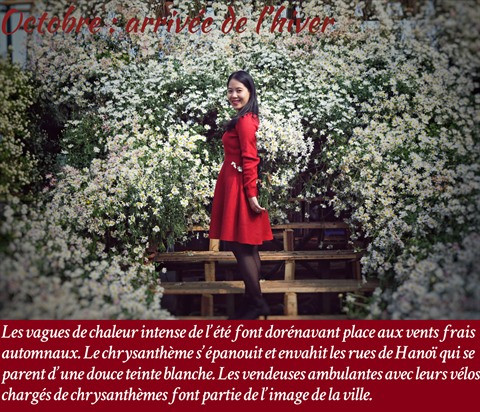 Les fleurs de Hanoï au gré des saisons ảnh 11 Les fleurs de Hanoï au gré des saisons ảnh 11