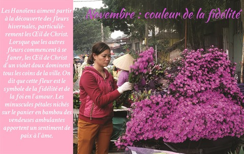 Les fleurs de Hanoï au gré des saisons ảnh 12 Les fleurs de Hanoï au gré des saisons ảnh 12