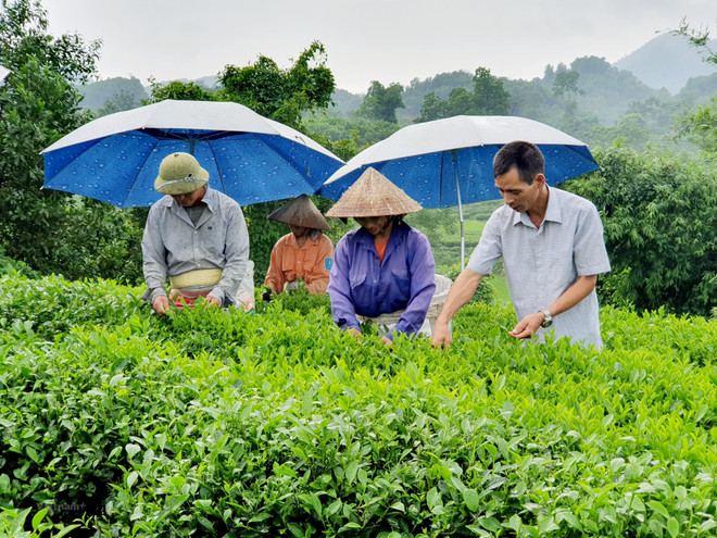 Publication du Seuil de pauvreté multidimensionnelle pour la période 2022-2025. ảnh 1
