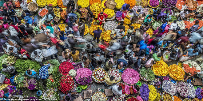 Des photos prises au Vietnam se distinguent aux Travel Photographer of the Year contest ảnh 6 Des photos prises au Vietnam se distinguent aux Travel Photographer of the Year contest ảnh 6