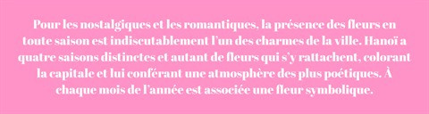 Les fleurs de Hanoï au gré des saisons ảnh 1 Les fleurs de Hanoï au gré des saisons ảnh 1