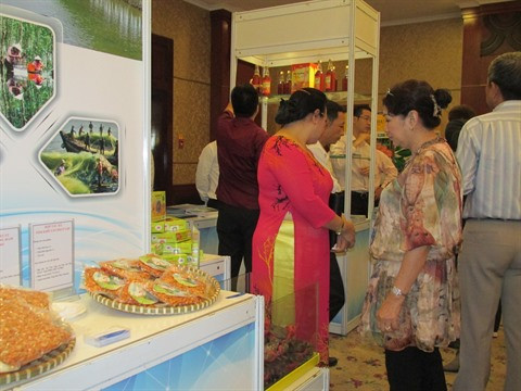 Cà Mau déroule le tapis rouge aux investisseurs ảnh 3 Cà Mau déroule le tapis rouge aux investisseurs ảnh 3