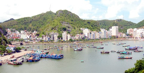 Le complexe d’écotourisme et de villégiature de Cat Bà mis en chantier ảnh 1 Le complexe d’écotourisme et de villégiature de Cat Bà mis en chantier ảnh 1