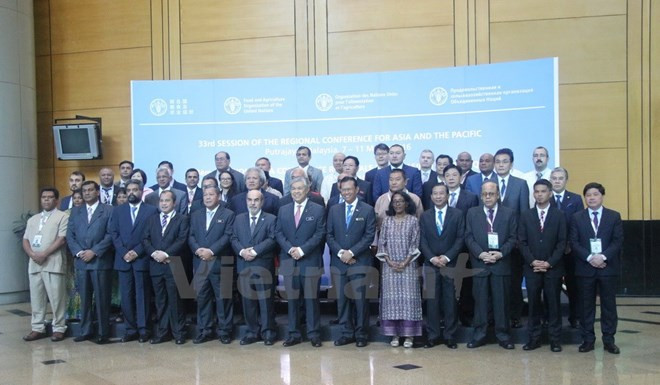 Vietnam-ONU, un modèle de coopération pour le développement ảnh 1 Vietnam-ONU, un modèle de coopération pour le développement ảnh 1