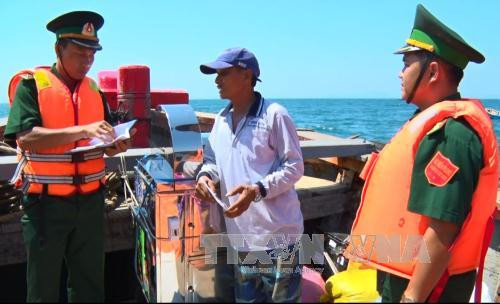 Le Vietnam agit contre la pêche illégale dans les eaux étrangères ảnh 1 Le Vietnam agit contre la pêche illégale dans les eaux étrangères ảnh 1