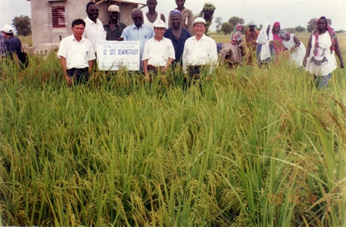 Vietnam-ONU, un modèle de coopération pour le développement ảnh 3 Vietnam-ONU, un modèle de coopération pour le développement ảnh 3