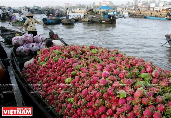 Opportunités de coopération pour des entreprises vietnamiennes et indonésiennes ảnh 1 Opportunités de coopération pour des entreprises vietnamiennes et indonésiennes ảnh 1