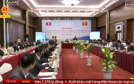Vietnam-Laos : séminaire sur la consultation au service du gouvernement et du Premier ministre ảnh 1