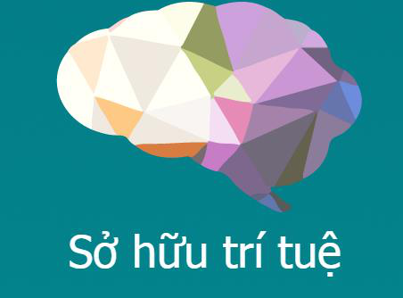 La WIPO aide le Vietnam à développer la propriété intellectuelle ảnh 1